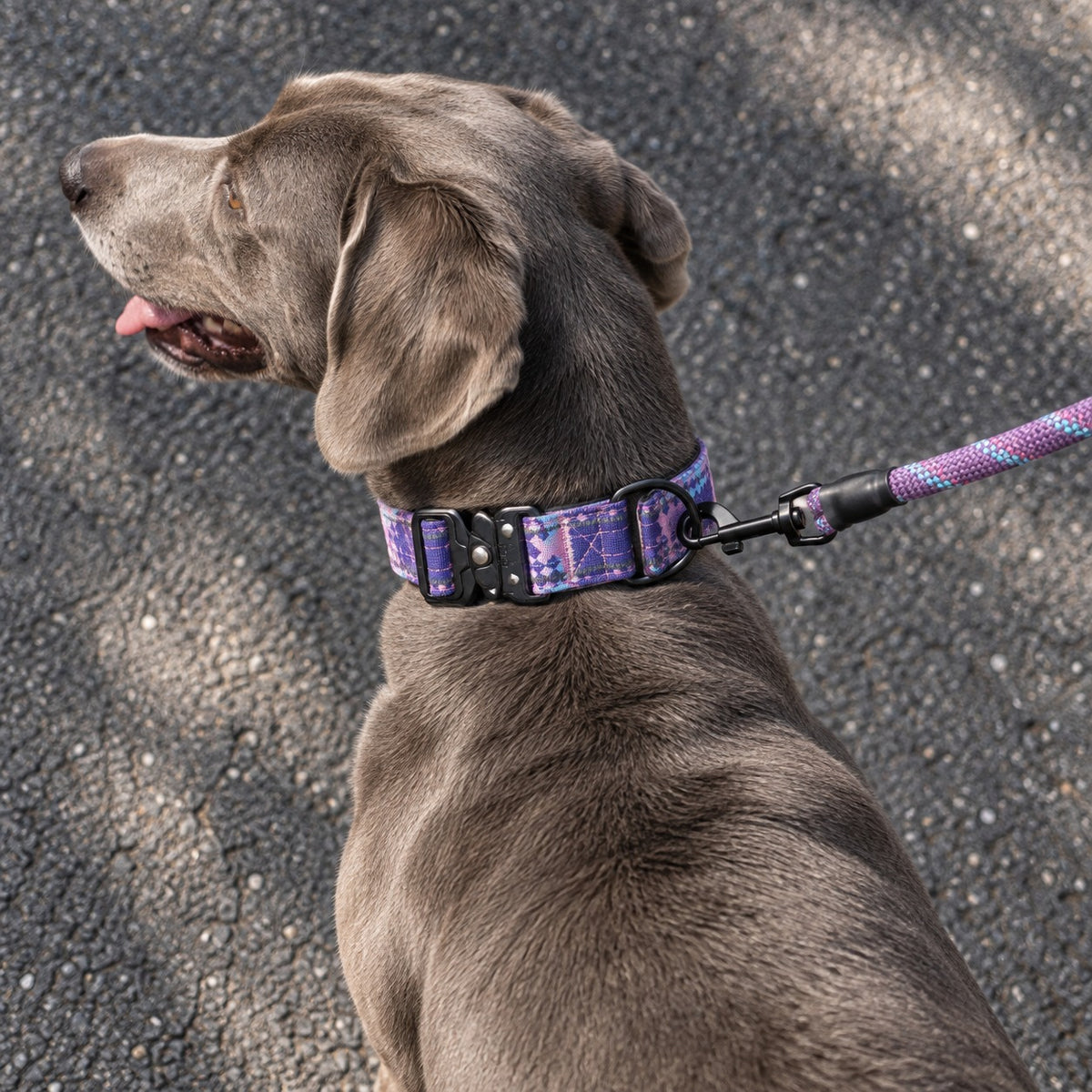 UHMWPE Heavy Duty Dog Collar – Bite Resistant Reflective Collar for Medium&Large Dogs
